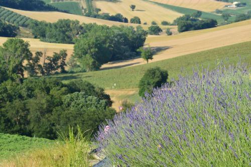 Agroturismo Tenuta Belvedere