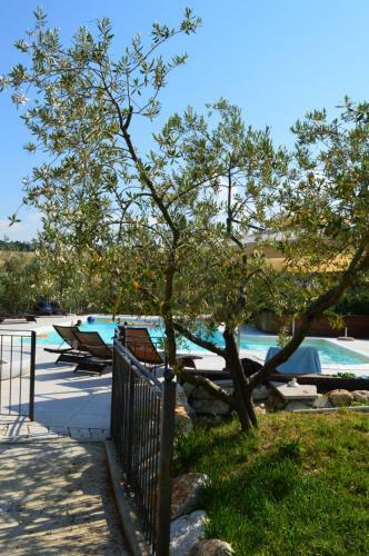 Agroturismo Tenuta Belvedere