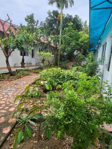 Bed & Breakfast Davi Hostel