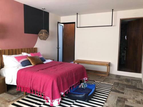 Casa Cr�nica