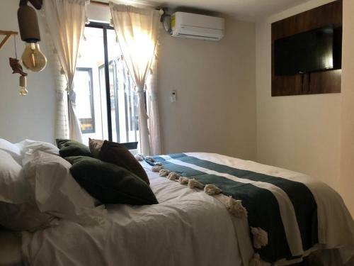 Casa Cr�nica
