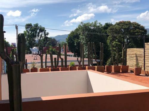 Casa Cr�nica