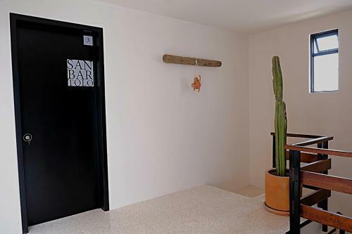 Casa Cr�nica