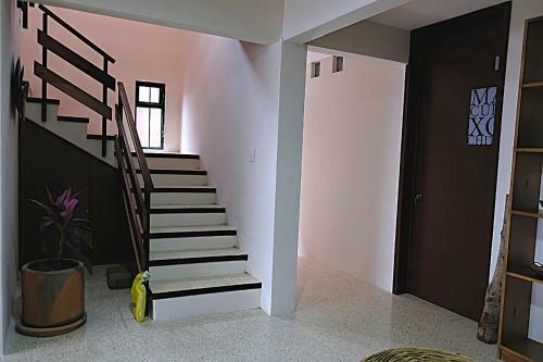 Casa Cr�nica