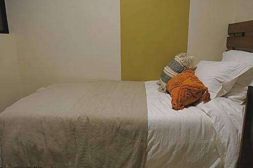 Casa Cr�nica