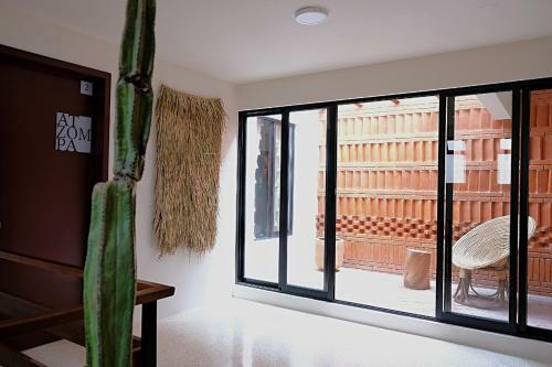 Casa Cr�nica