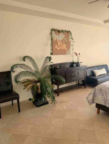 Apartamento Beautiful Beach Front Condo Near Downtown
