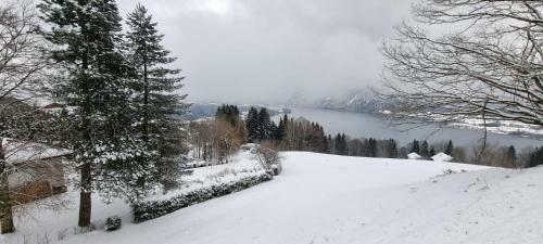 Chalet Kultique