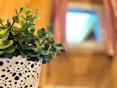 Uriges Chalet Auf �ber 1250m +dampfbad +netflix!