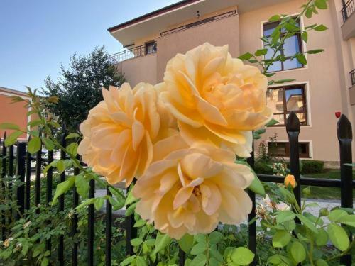 Apartamento Studio A5,s V�hledem Na Baz�n