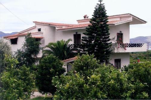 Lemon Tree House