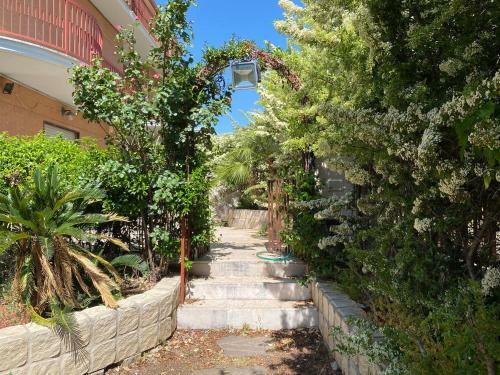 Apartamento Casa Fellini