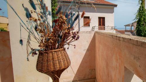 Apartamento Appartamento L'ulivo