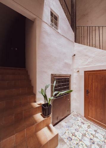 Appartamento Agave - Quartiere Castello