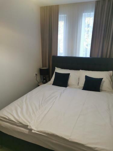 Apartment Indigo