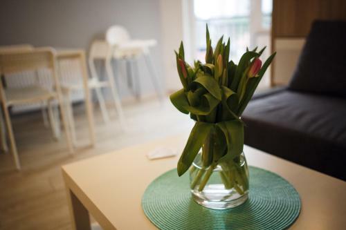 Apartament Ksandra Mare - Aprent