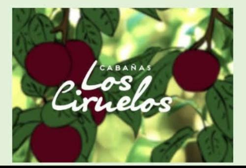 Apartamento Los Ciruelos