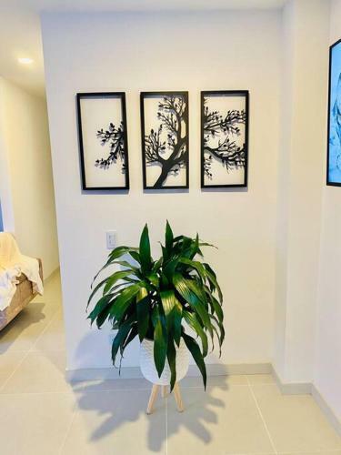 Gorgeous 3 Bedroom Apartment Condo With Balcony