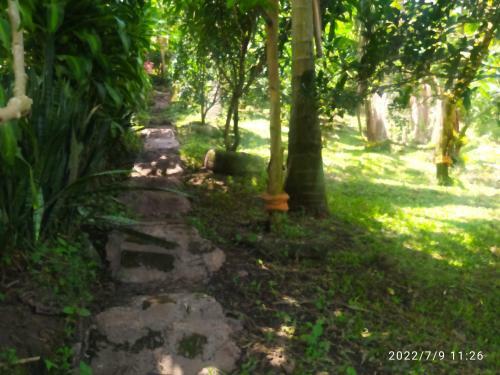 Alojamiento Rural En Combia