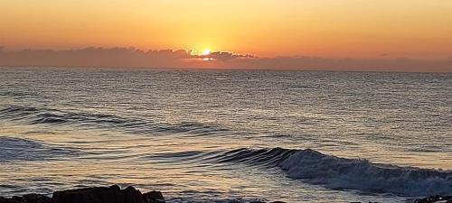 Apartamento Dolphin View 308