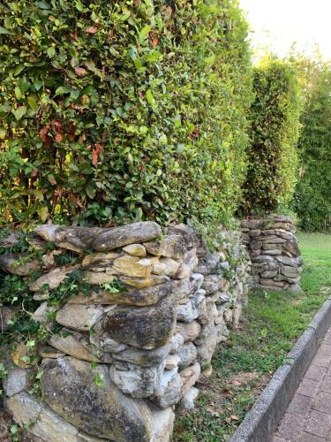 Apartamento Aurelia Rta Detta Il Cascinale