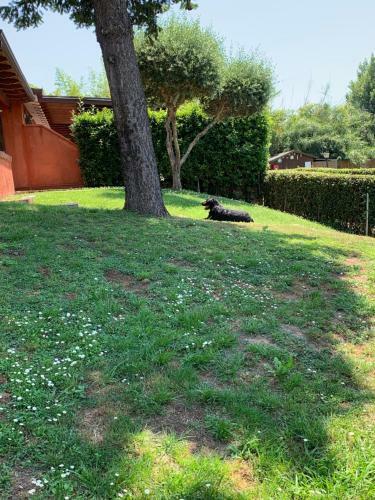 Apartamento Aurelia Rta Detta Il Cascinale