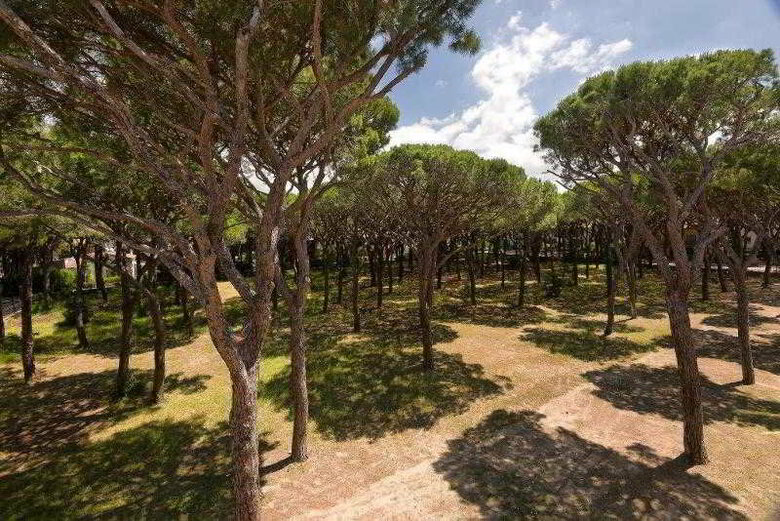 Hotel Terme Marine Leopoldo II