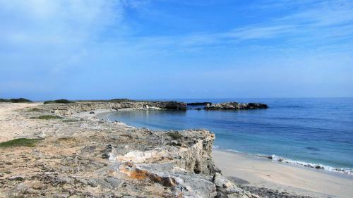 Hostal Villa Neptunia