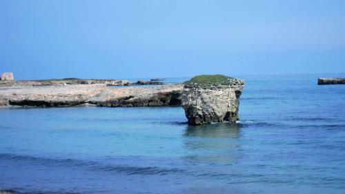 Hostal Villa Neptunia