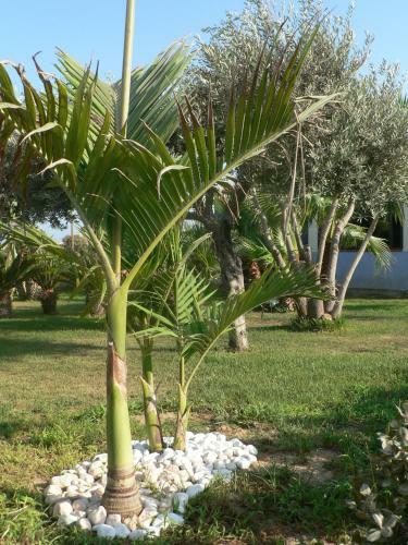 B&B Villa Francesco