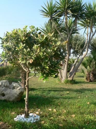 B&B Villa Francesco