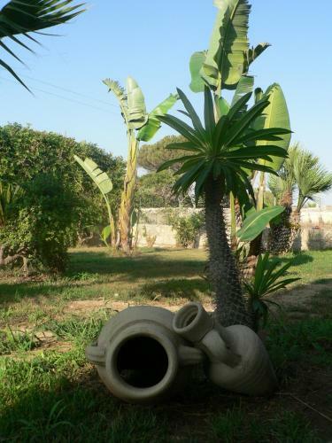 B&B Villa Francesco