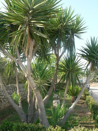 B&B Villa Francesco