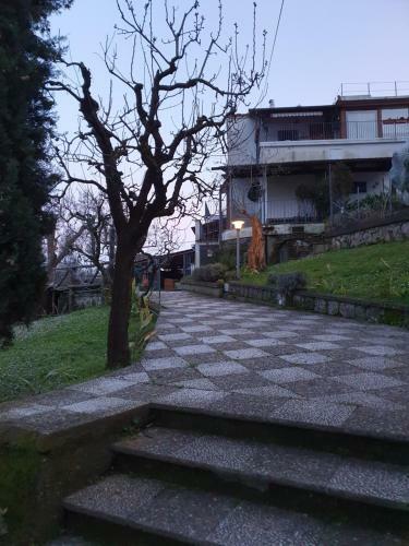 Bed & Breakfast Casa Gaia Sorrento Bio Vacanze