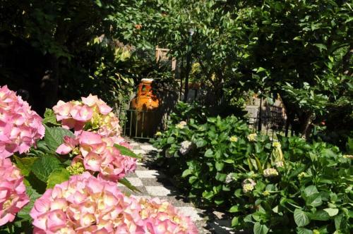 Bed & Breakfast Casa Gaia Sorrento Bio Vacanze