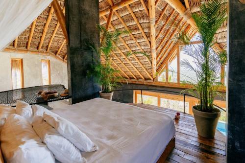 Las Nubes A Bohemian And Romantic Destination. Todos Santos Bcs