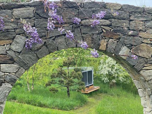 Living In Frames