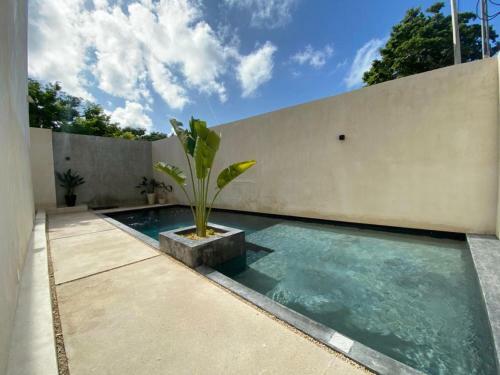 Apartamento Deluxe Studio / Direct Exit To The Pool