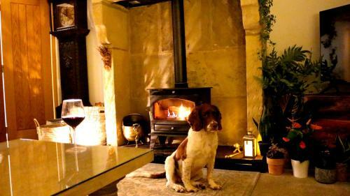 Romany Cottage B&B