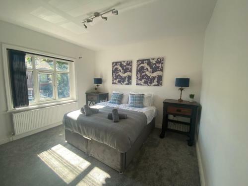 Ideal Lodgings In Bury