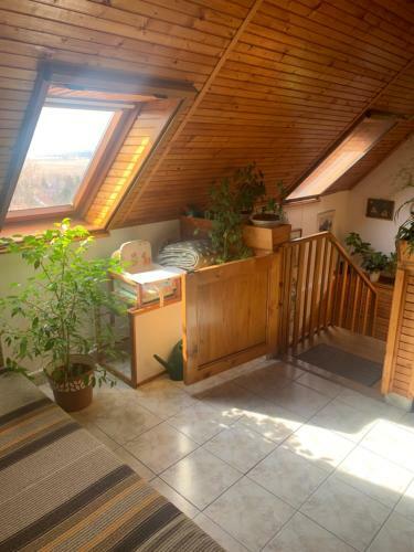 Szigligeti Marika Apartman