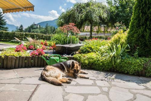 Apartamento Ferienhof Thumburg