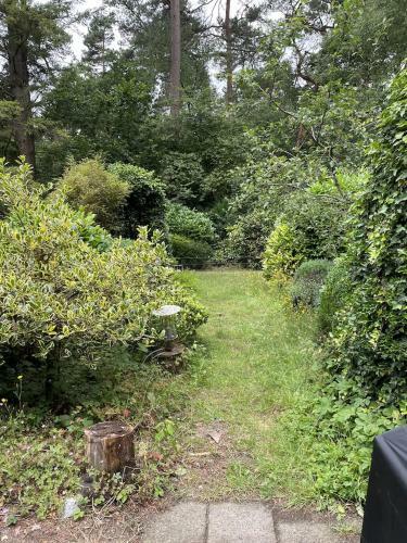 Comfortabel Tot Rust Komen In Het Veluwse Bos