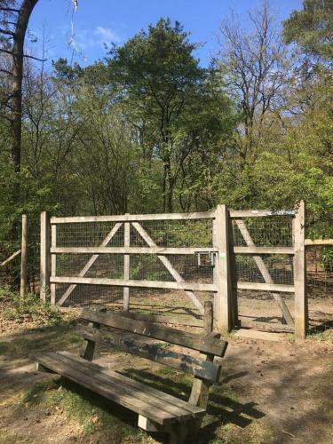 Comfortabel Tot Rust Komen In Het Veluwse Bos