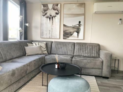 Chalet 577 Op Recreatiepark De Wielen