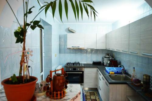 Hostal Pensiunea Sofia Teodora