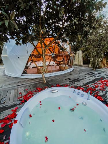 Ikigai Glamping