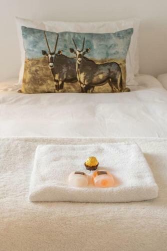Apartamento Dolphin Beach Cabana