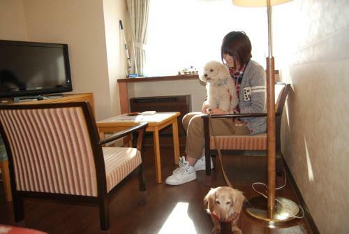 Izumigo Toba Dog Paradise Hotel