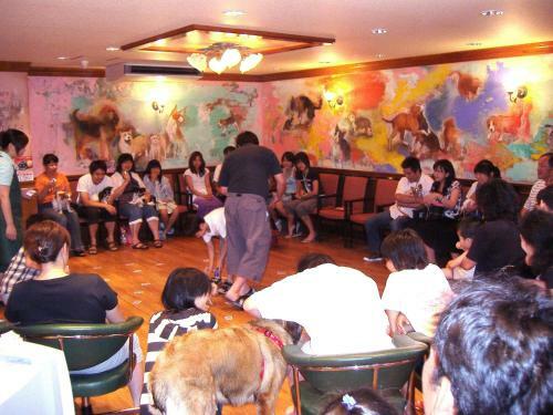 Izumigo Toba Dog Paradise Hotel